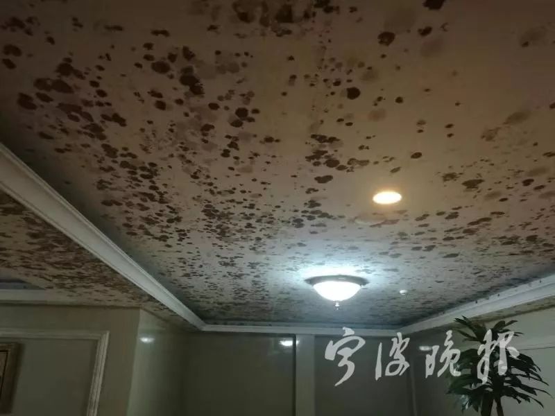 回南天氣梅雨季墻面受潮發(fā)霉用除濕機(jī)好嗎？