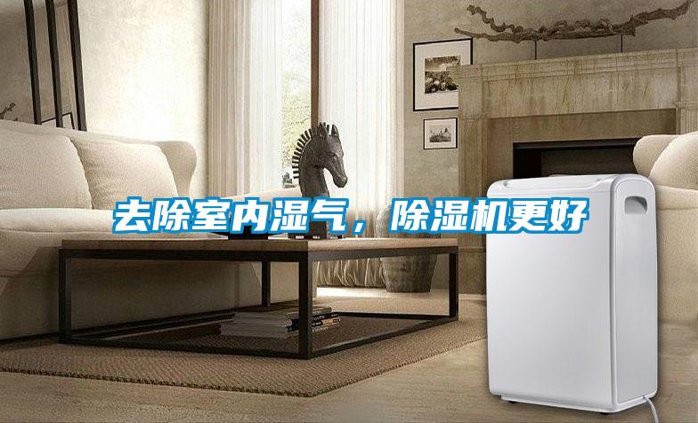 去除室內(nèi)濕氣，除濕機更好