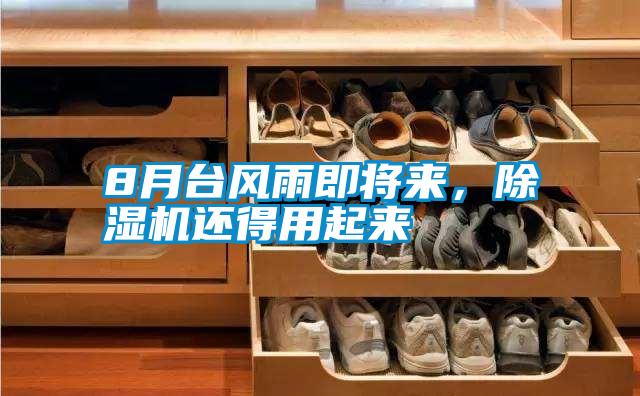 8月臺風(fēng)雨即將來，除濕機還得用起來