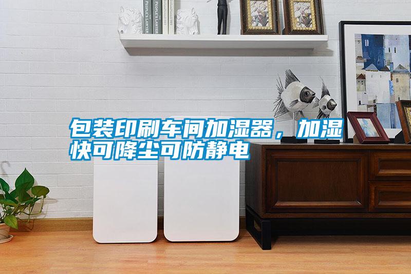 包裝印刷車間加濕器，加濕快可降塵可防靜電