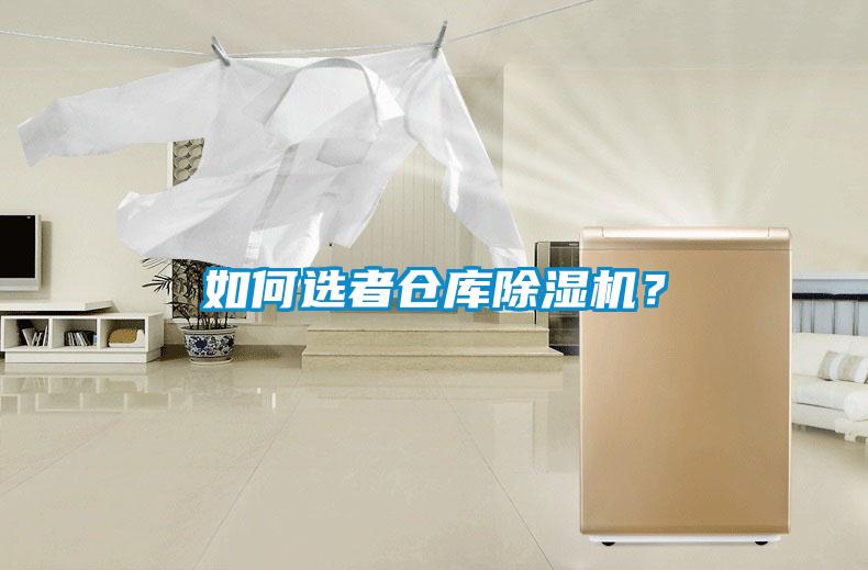 如何選者倉庫除濕機？