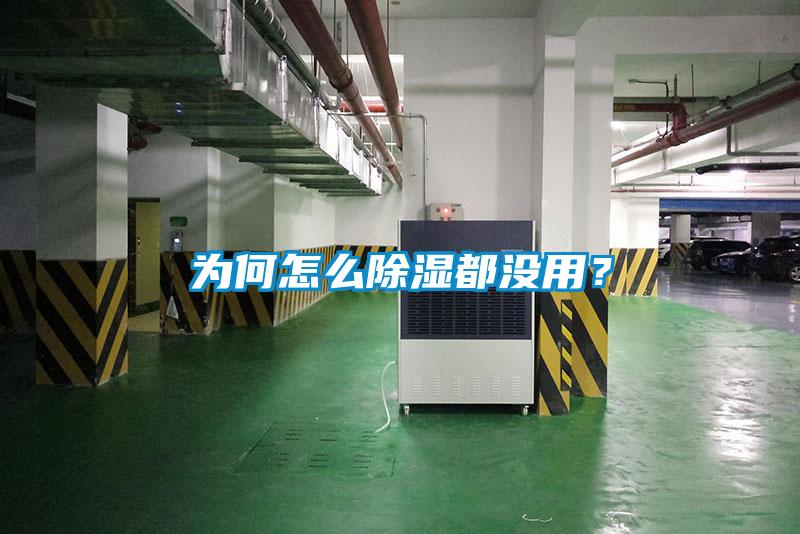 為何怎么除濕都沒(méi)用？