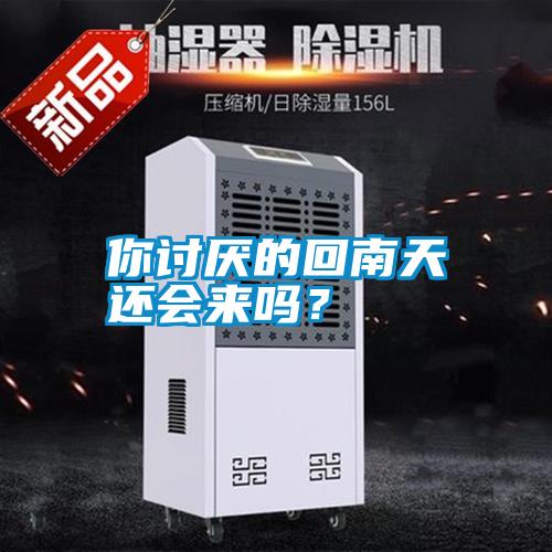 你討厭的回南天還會來嗎？