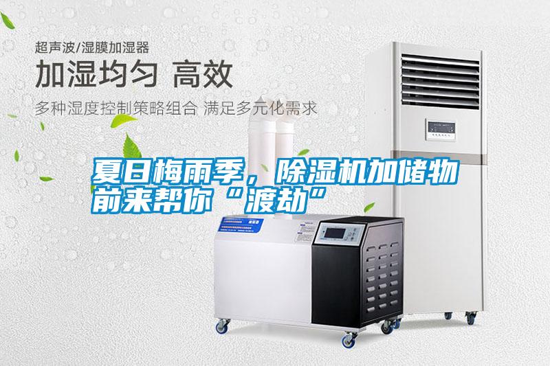 夏日梅雨季，除濕機(jī)加儲(chǔ)物前來(lái)幫你“渡劫”