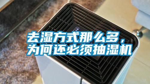 去濕方式那么多，為何還必須抽濕機(jī)
