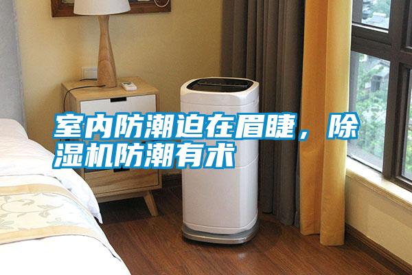 室內防潮迫在眉睫，除濕機防潮有術