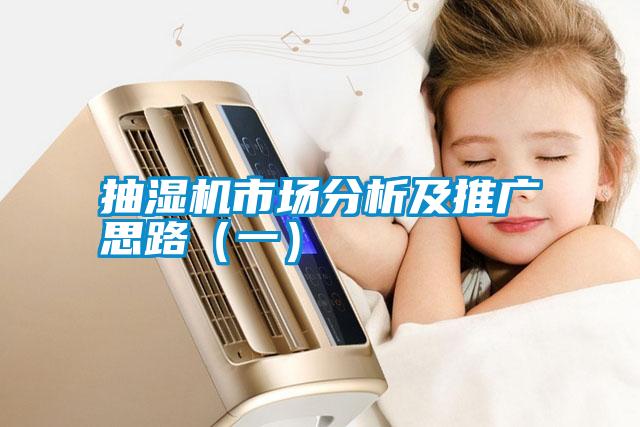 抽濕機(jī)市場分析及推廣思路（一）