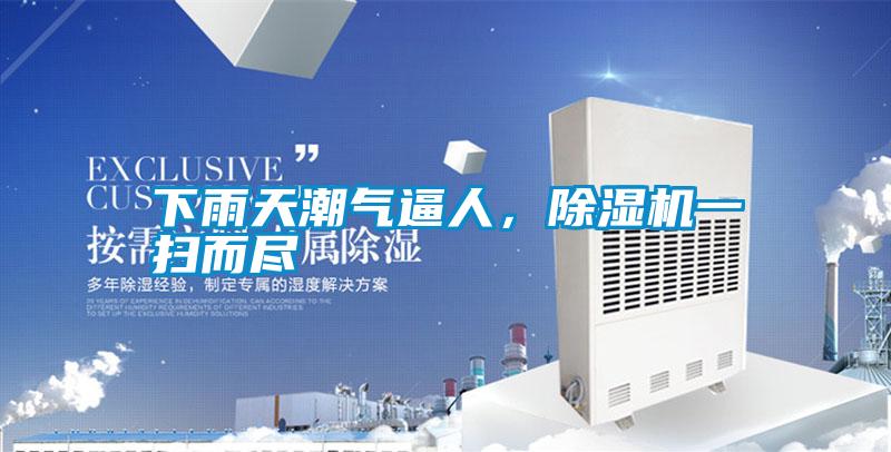 下雨天潮氣逼人，除濕機一掃而盡