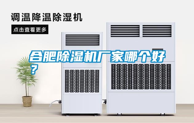 合肥除濕機(jī)廠家哪個(gè)好？