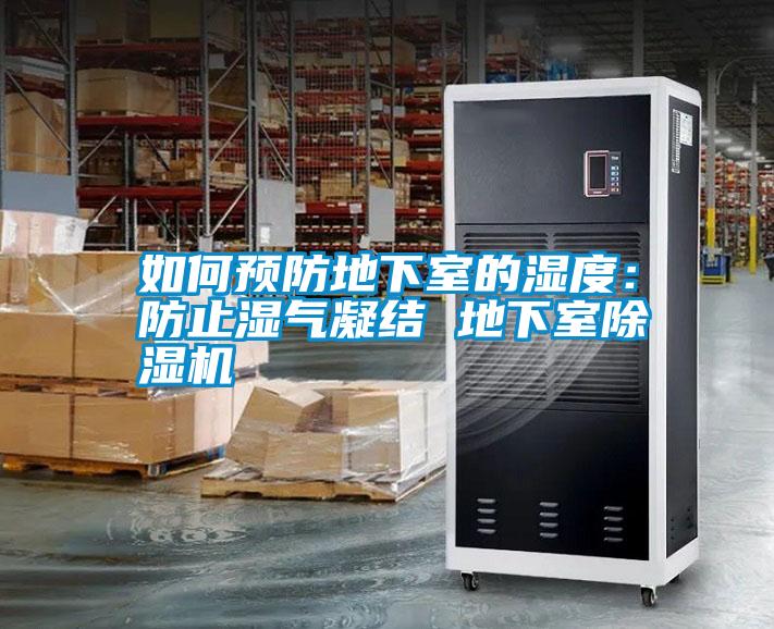 如何預防地下室的濕度：防止?jié)駳饽Y(jié) 地下室除濕機