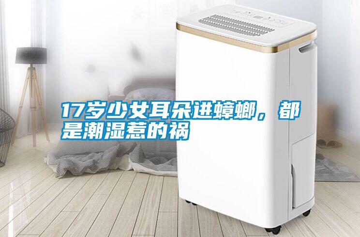 17歲少女耳朵進蟑螂，都是潮濕惹的禍