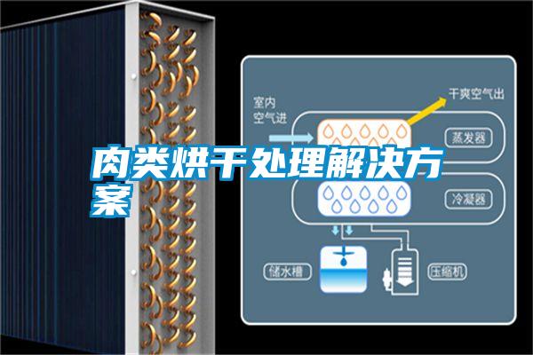 肉類(lèi)烘干處理解決方案