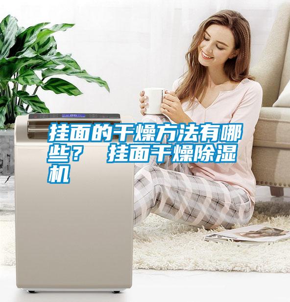 掛面的干燥方法有哪些？ 掛面干燥除濕機(jī)