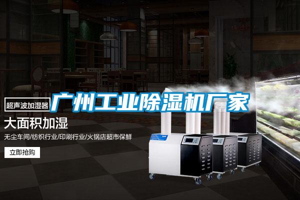 廣州工業(yè)除濕機(jī)廠家