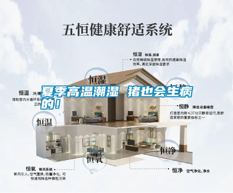 夏季高溫潮濕 豬也會(huì)生病的！