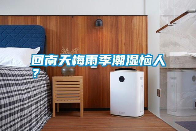回南天梅雨季潮濕惱人？