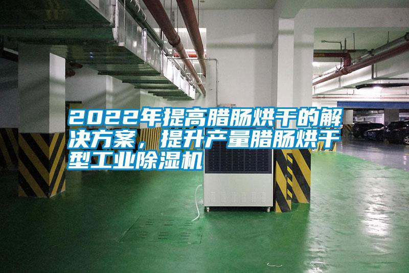 2022年提高臘腸烘干的解決方案，提升產(chǎn)量臘腸烘干型工業(yè)除濕機