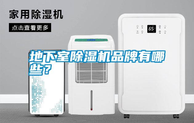 地下室除濕機(jī)品牌有哪些？