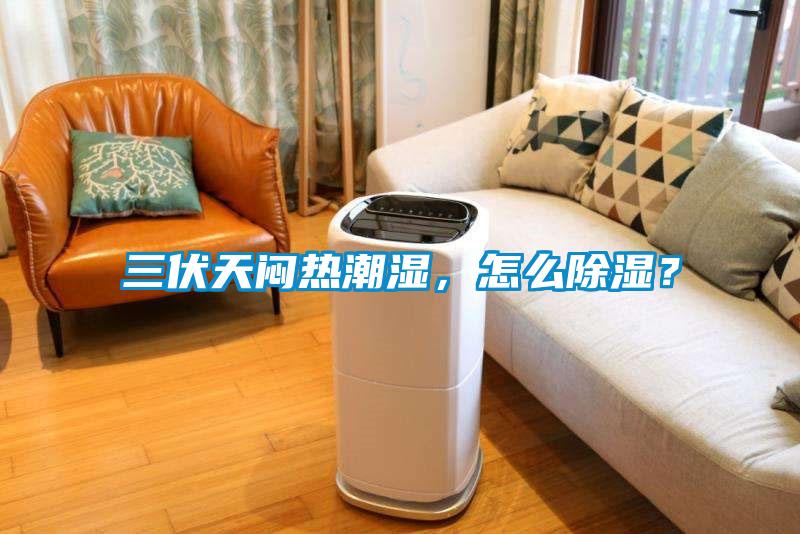 三伏天悶熱潮濕，怎么除濕？