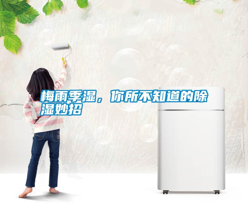 梅雨季濕，你所不知道的除濕妙招