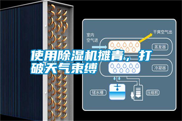 使用除濕機攤青，打破天氣束縛