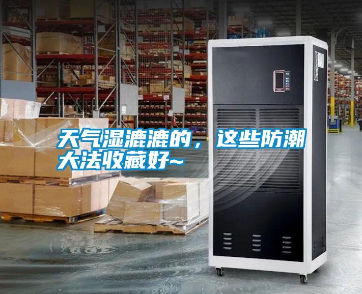 天氣濕漉漉的，這些防潮大法收藏好~