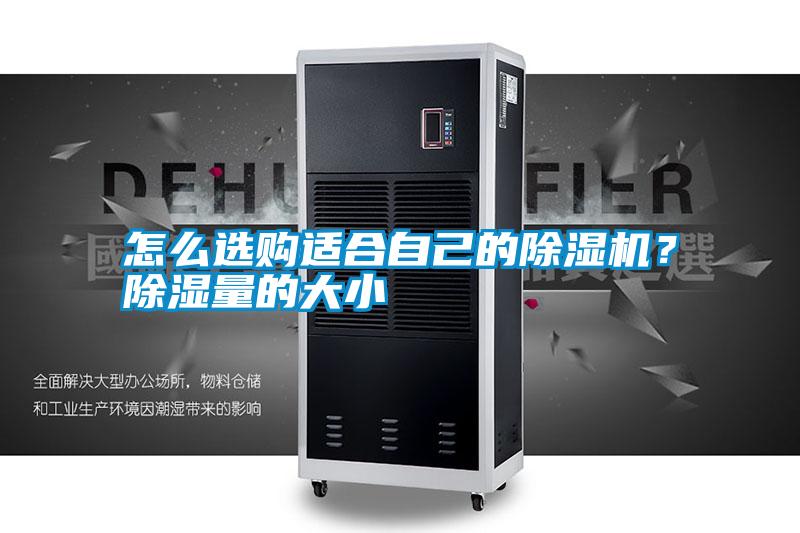 怎么選購適合自己的除濕機(jī)？除濕量的大小