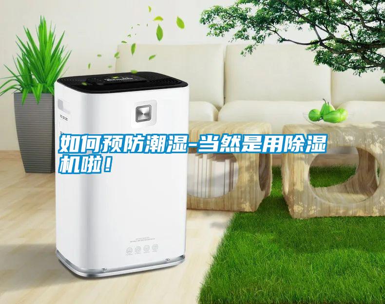 如何預防潮濕-當然是用除濕機啦！