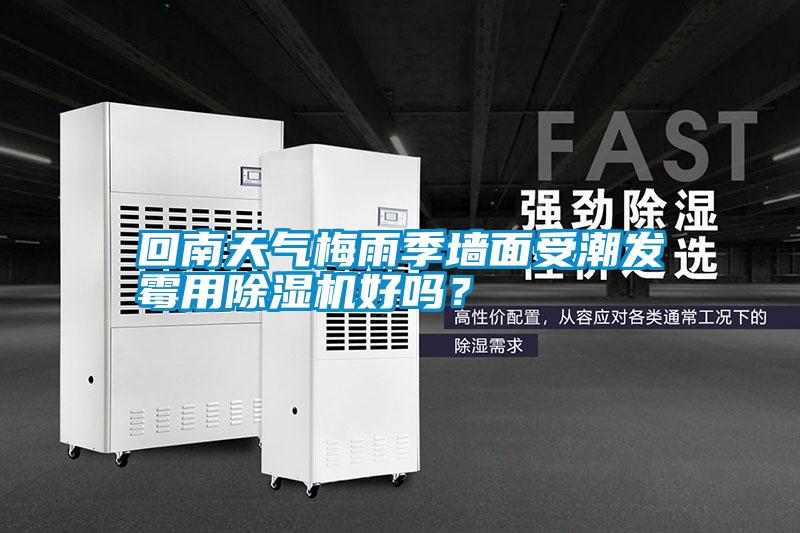 回南天氣梅雨季墻面受潮發(fā)霉用除濕機(jī)好嗎？
