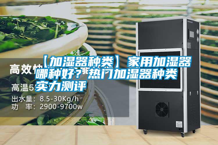 【加濕器種類(lèi)】家用加濕器哪種好？熱門(mén)加濕器種類(lèi)實(shí)力測(cè)評(píng)