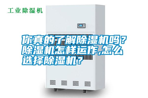 你真的了解除濕機(jī)嗎？除濕機(jī)怎樣運(yùn)作,怎么選擇除濕機(jī)？