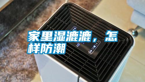 家里濕漉漉，怎樣防潮