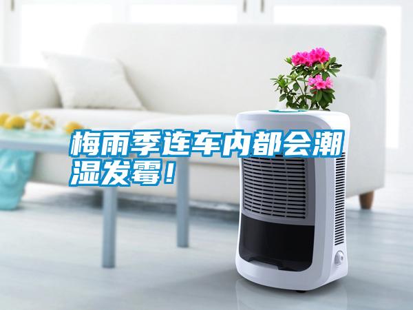 梅雨季連車內都會潮濕發(fā)霉！