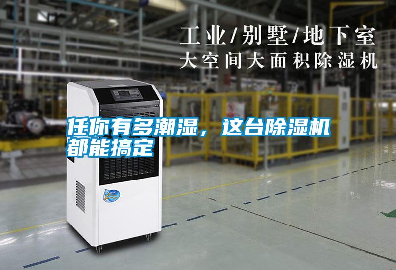任你有多潮濕，這臺(tái)除濕機(jī)都能搞定