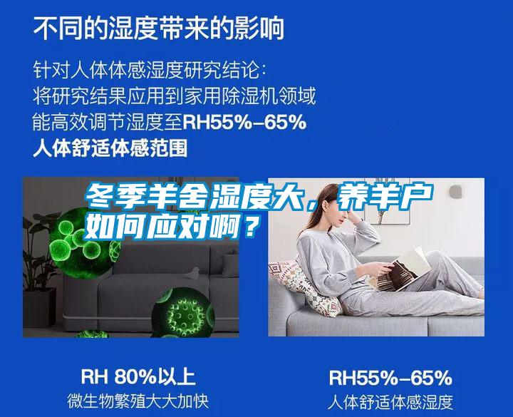 冬季羊舍濕度大，養(yǎng)羊戶如何應(yīng)對??？