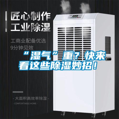 “濕氣”重？快來看這些除濕妙招！