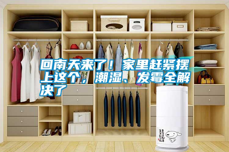回南天來了！家里趕緊擺上這個(gè)，潮濕、發(fā)霉全解決了