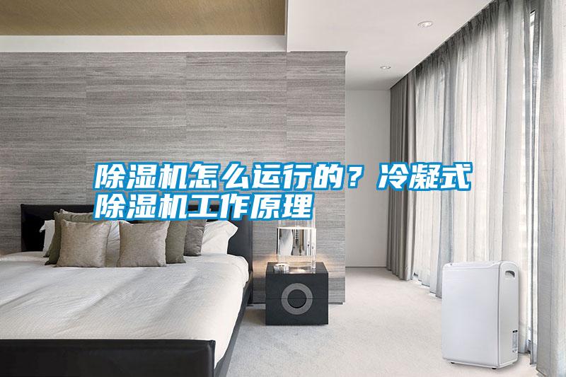 除濕機(jī)怎么運(yùn)行的？冷凝式除濕機(jī)工作原理
