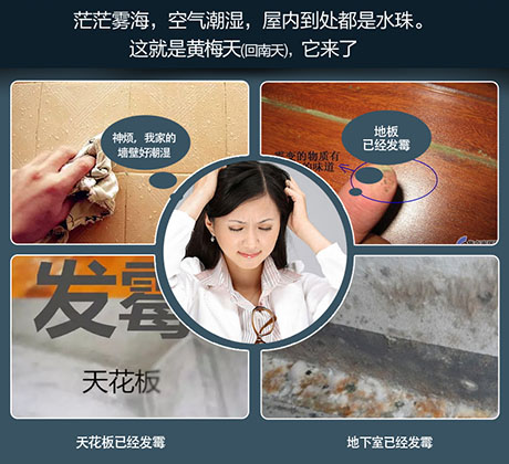 家庭別墅的地下室、衛(wèi)生間、儲物室等該如何除濕？