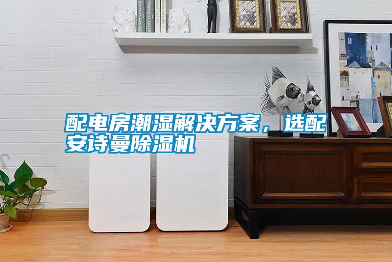 配電房潮濕解決方案，選配安詩曼除濕機(jī)