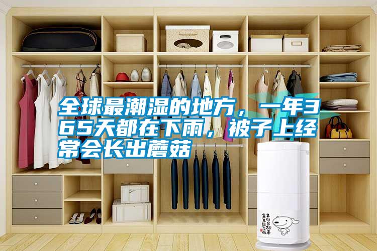全球最潮濕的地方，一年365天都在下雨，被子上經(jīng)常會長出蘑菇