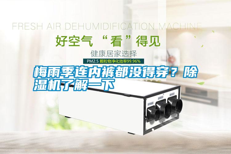 梅雨季連內(nèi)褲都沒(méi)得穿？除濕機(jī)了解一下