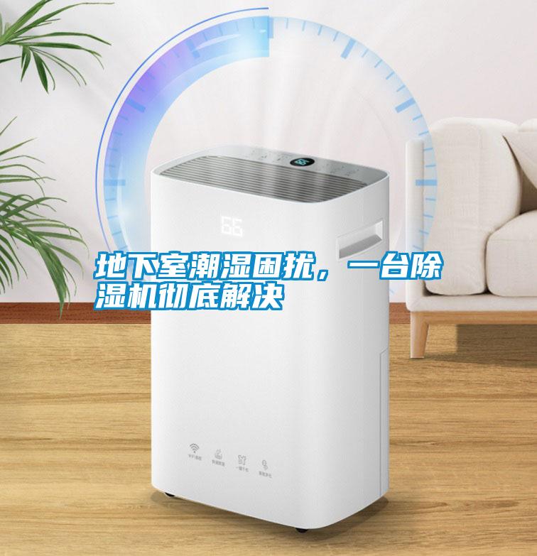 地下室潮濕困擾，一臺除濕機徹底解決