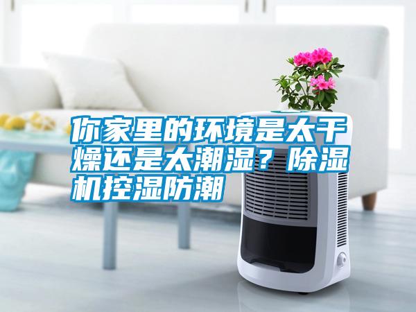 你家里的環(huán)境是太干燥還是太潮濕？除濕機(jī)控濕防潮