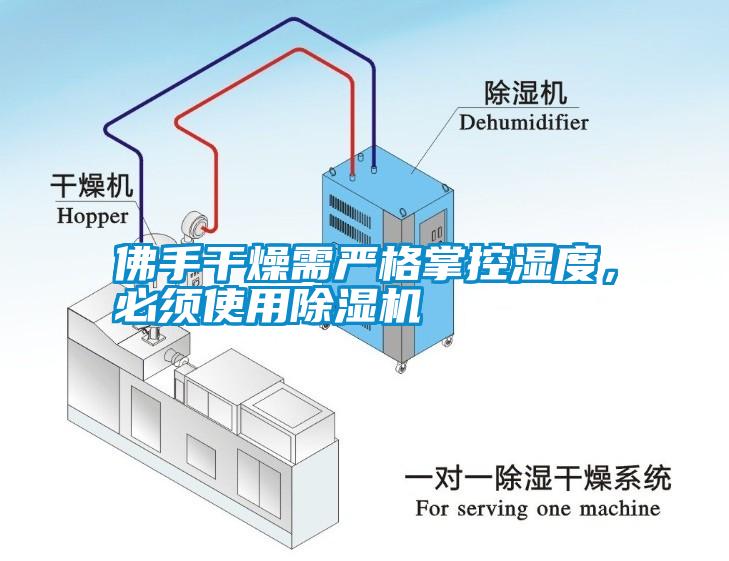 佛手干燥需嚴格掌控濕度，必須使用除濕機