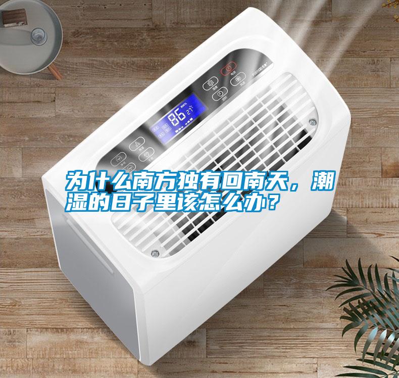 為什么南方獨有回南天，潮濕的日子里該怎么辦？