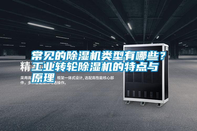 常見的除濕機(jī)類型有哪些？工業(yè)轉(zhuǎn)輪除濕機(jī)的特點(diǎn)與原理