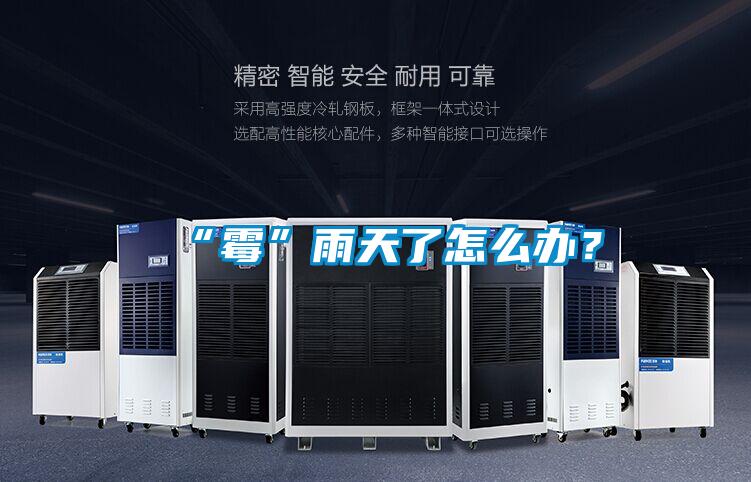 “霉”雨天了怎么辦？