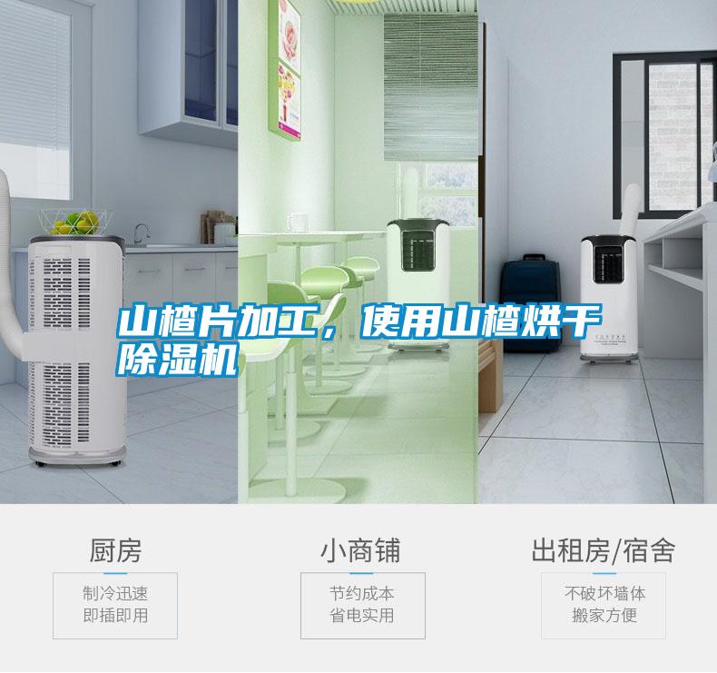 山楂片加工，使用山楂烘干除濕機(jī)