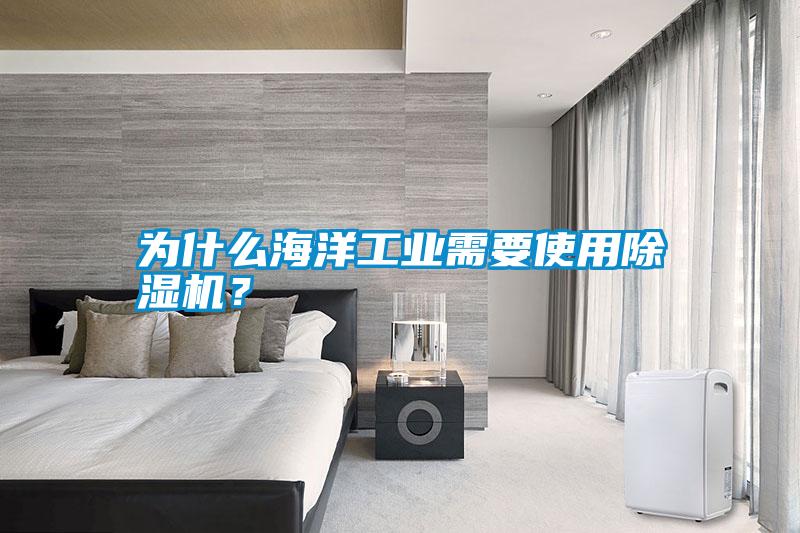 為什么海洋工業(yè)需要使用除濕機(jī)？